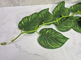 Guia hojas grandes verdes oscuro